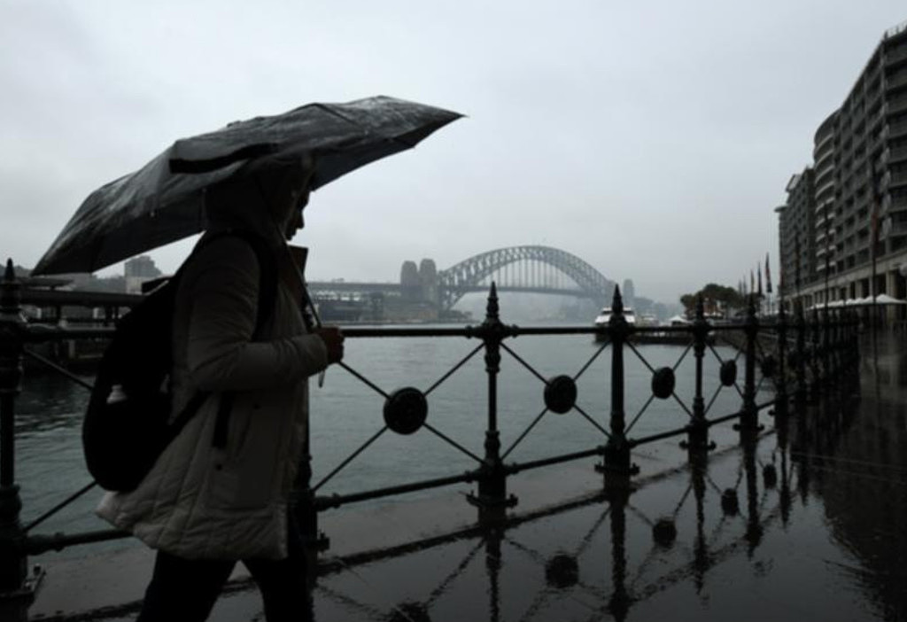 半天下一个月的雨！狂风暴雨席卷悉尼，东区成“重灾区”，SES电话被打爆（组图） - 2