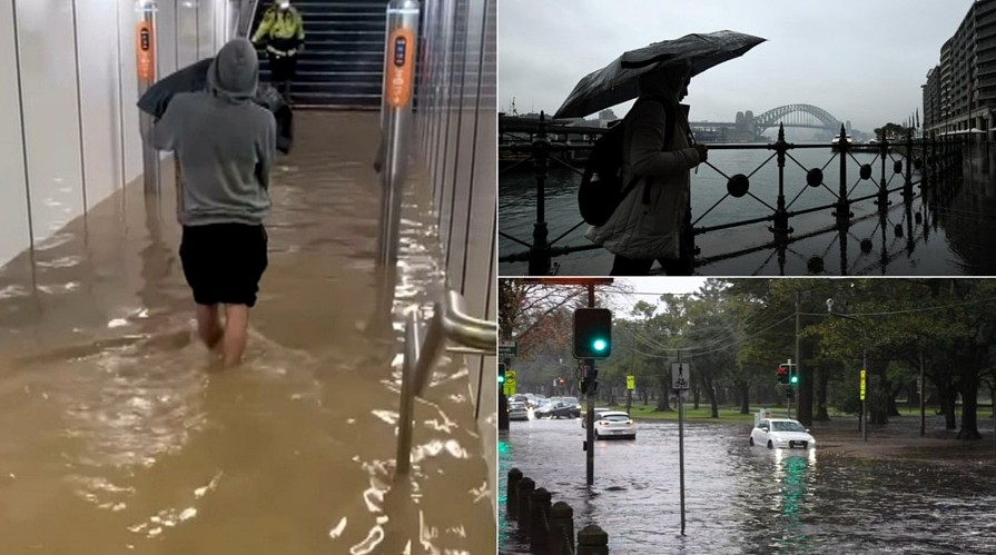 半天下一个月的雨！狂风暴雨席卷悉尼，东区成“重灾区”，SES电话被打爆（组图） - 3