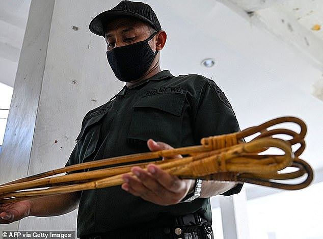 If he is found guilty of armed robbery, Pacheco faces between three and 14 years in jail and at least 12 strokes of the cane (a file image of rattan stick cane is pictured)