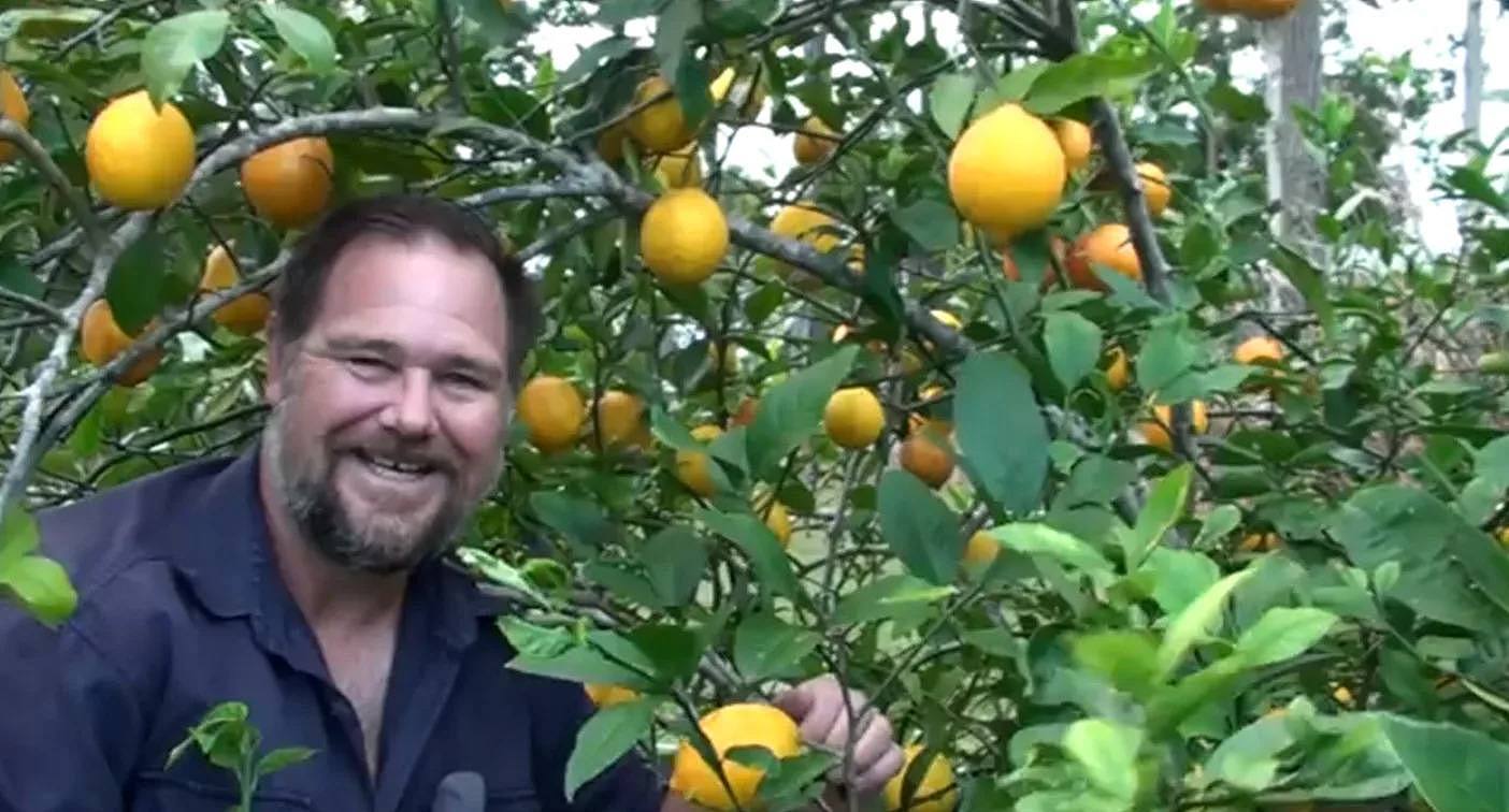 An older still of Mark in front of his lemon tree. A still from the YouTube video.