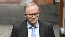 澳洲多名议员办公室遭泼红漆！艾博年与达顿谴责绿党，“故意散播加沙谣言”（组图）