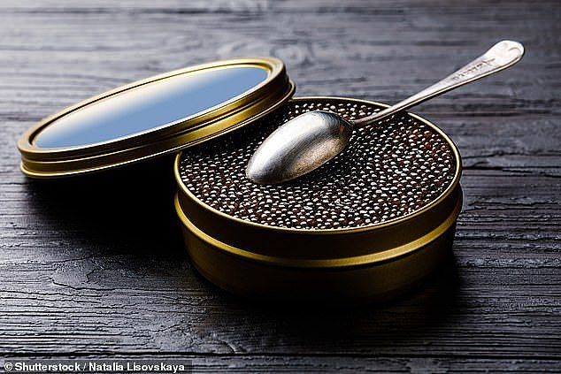 A traveler had their caviar confiscated in security when traveling back from Russia (stock image)
