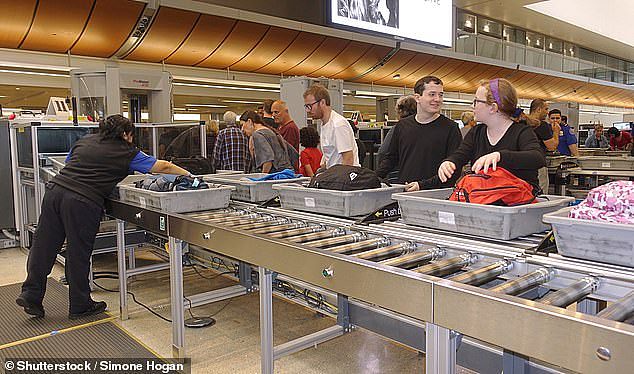 Bemused travelers have now revealed some of the wackier items they've had confiscated at airport security with everything from caviar to cannonballs among the mix (stock image)
