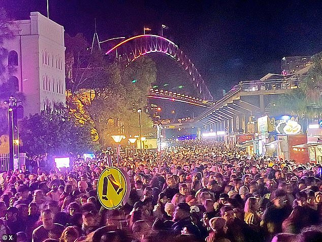 悉尼灯光音乐节的观众在环形码头遭遇“拥挤人群”后惊恐不已（如图）