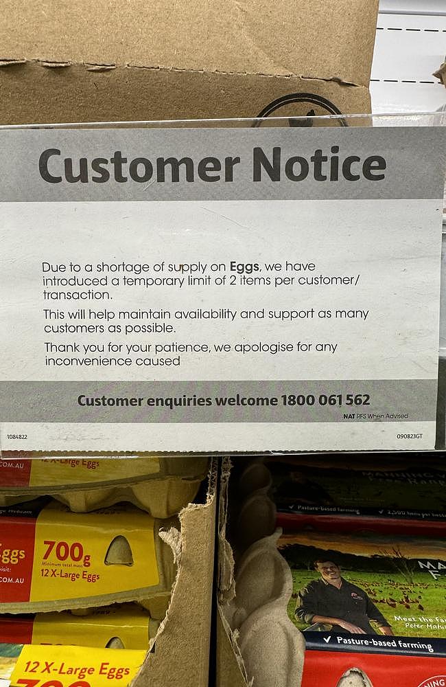 由于禽流感爆发导致供应链出现问题，澳大利亚科尔斯超市对鸡蛋购买量实施了限制，但业内人士和学者警告称，此举可能会引发恐慌性抢购。图片来源：