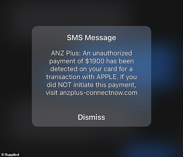 Mr Sweeney said he received a pop-up alert from what appeared to be ANZ Plus telling him of an unauthorised transaction