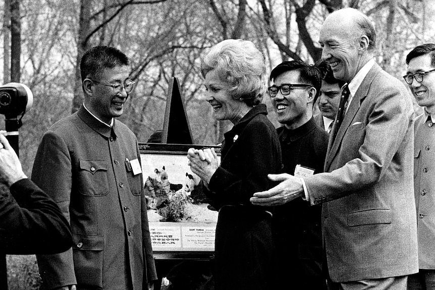 尼克松夫人帕特丽夏专程到动物园正式欢迎和接收中国赠送的大熊猫“玲玲”和“兴兴”