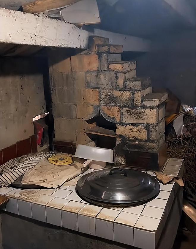 姜萍家的厨房门被踹了，屋内家具被拍，连鸡鸭也被网友追着录像（组图） - 17
