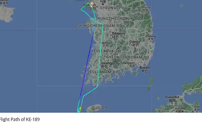 生死一瞬！大韩航空骤降2万英尺，氧气面罩掉落，又是波音737MAX！（组图） - 10