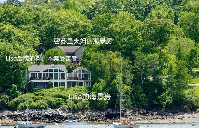 土豪夫妇窗前海景被挡，偷偷下毒杀死邻居的树，毒物渗进公共海滩...（组图） - 1