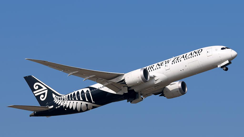 起飞4.5小时后，新西兰飞上海航班被迫返航！乘客不知情一脸懵（组图） - 2