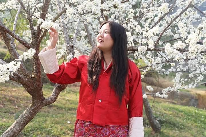 一个女孩正在看着一棵开白花的树。