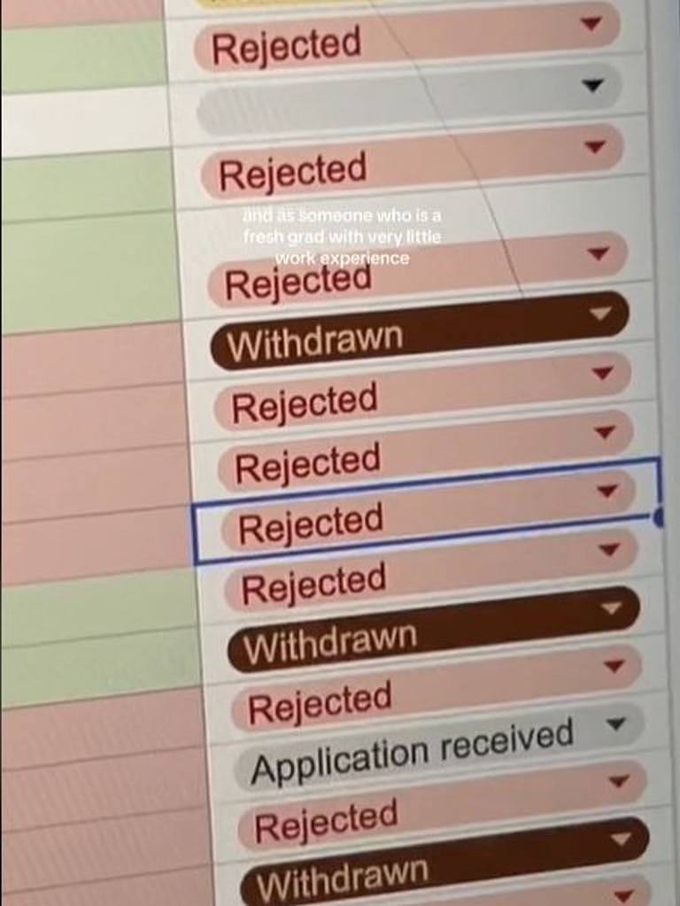 She kept track of how each application progressed. Picture: @zoelo.hy/TikTok