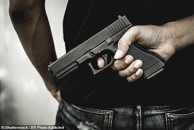 More than 40,000 Queenslanders have since signed a petition calling for them to be allowed to kill home intruders without legal consequence (stock image)