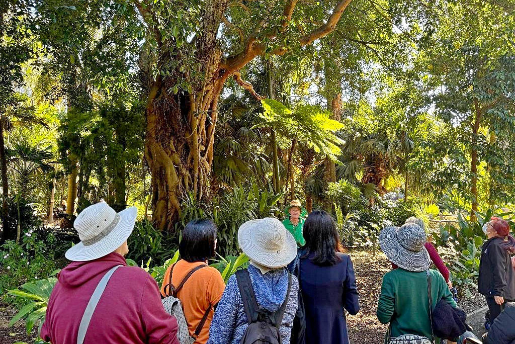 Photo Kending on NDIS Participants Gathering Group Outing released on 13 July 2024.jpg,0