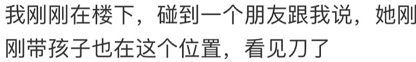 “吓得我魂飞魄散！”墨尔本多个商场连续出现青少年持刀斧，华人宝妈迎面撞上惊魂难定（组图） - 2