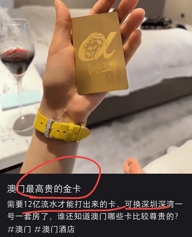 中国女子在泰国遭肢解案犯罪嫌疑人澳门落网，受害人账号炫富笔记或早已埋下祸根（组图） - 14