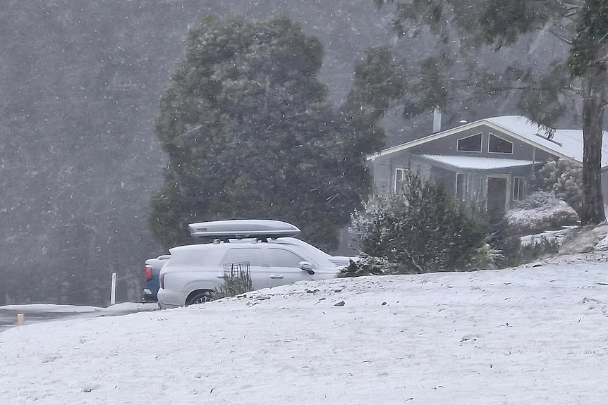 新州多地迎来降雪，白茫茫一片！有人特意从外地赶来看雪（组图） - 5