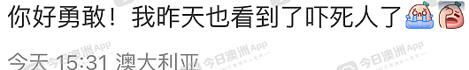 “脸上、身上都是血！”中国留学生在澳见义勇为，当街制服暴徒！网友交口称赞：“给中国人长脸了！”（组图） - 4