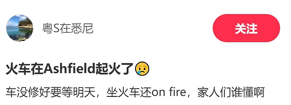 悉尼城铁在Ashfield站突发故障，车厢顶部疑冒烟！华人网友：起火了（视频/图） - 1