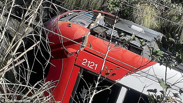 More than 60 passengers were trapped on a tram as strong winds in Sydney caused a tree to fall on overhead powerlines