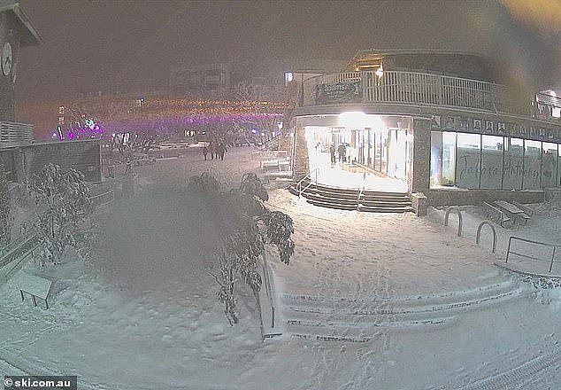 A snow-cam at Mt Buller village square on Saturday night shows the alpine regions are getting a thick blanket of snow