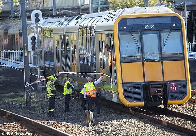 Miraculously, one of the twin girls was found alive under the train