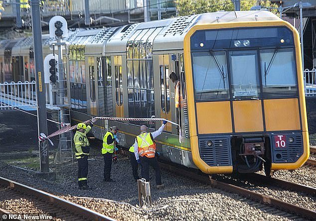 Emergency services and police inspect the scene of the train tragedy in Sydney's south