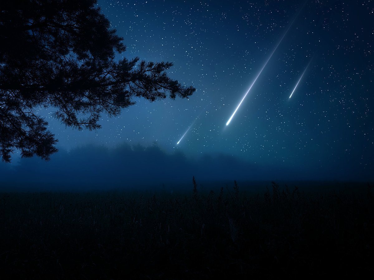 How To Watch Delta Aquariid Meteor Shower Light Up the Night Sky Next Week  - Newsweek