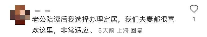 心酸！大批中国父母来澳陪读，放弃高薪工作，被丈夫背叛，还有人待了一年：“挺不住回国了...” - 7