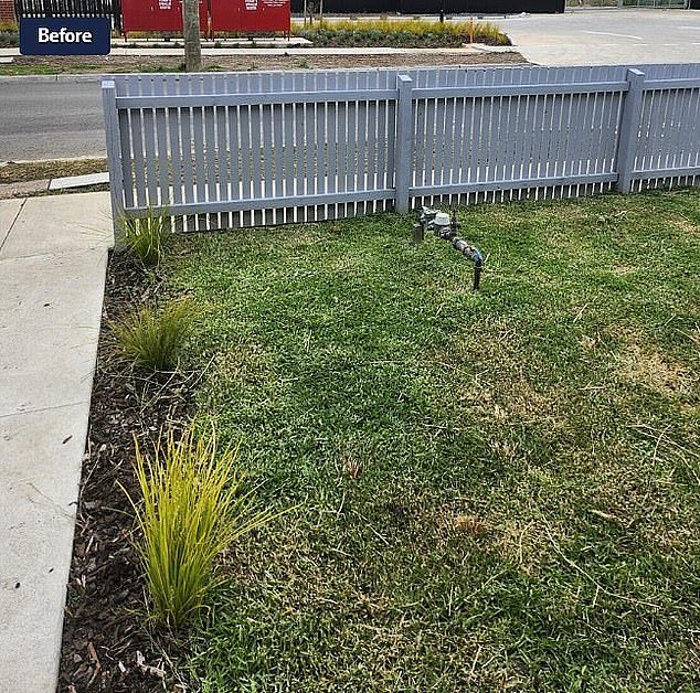 Mr Yusof said the original natural turf (pictured) laid by the developers wasn't in good condition and he wanted something that was low maintenance, but still looked good