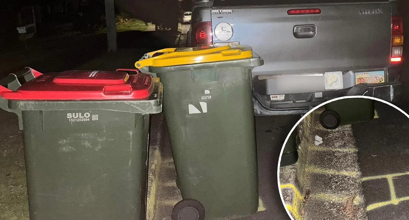 The car parked on the Newcastle street with a yellow and red wheelie bin standing right behind it (left) and two yellow Hs spray-painted onto the kerb and road (inset). 