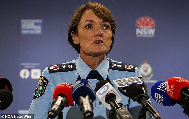 NSW Police Commissioner Karen Webb hits back as gin scandal rocks state  parliament | Daily Mail Online