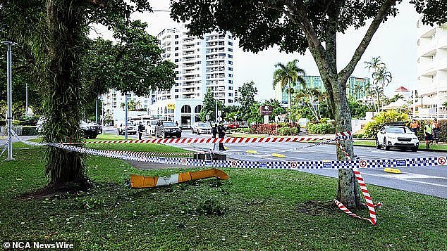 Part of the helicopter’s rotor blade landed in parkland on the opposite side of the Esplanade (pictured)