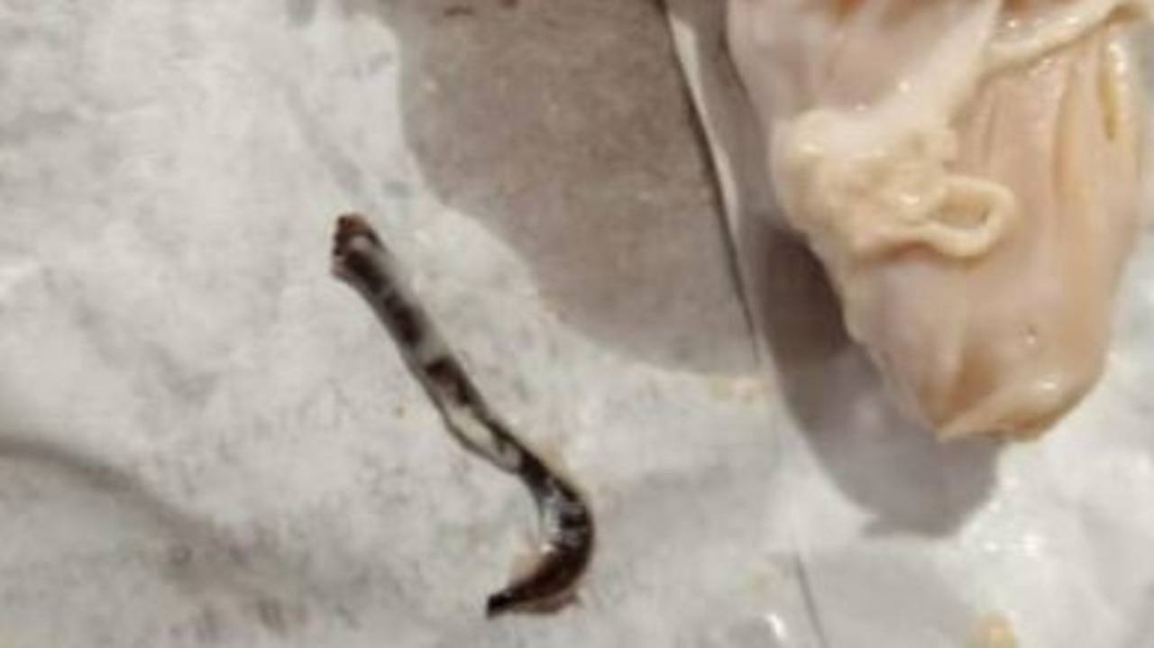 ‘Extra protein’: Customer shocked to find a suspected rats tail in Red Rooster chicken.