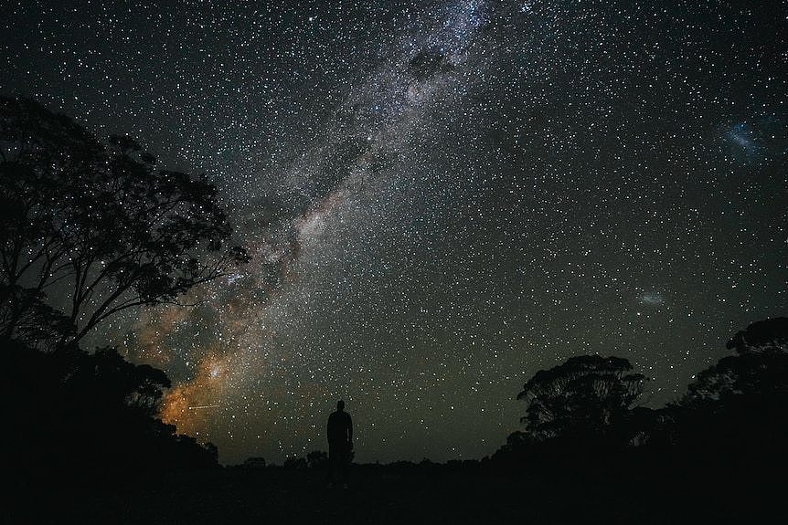 Emu in the Sky constellation rising above horizon