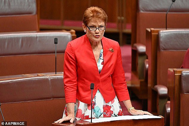 One Nation leader Senator Pauline Hanson said she was opposed to the new verification tool, which  she called a 'dumb idea'