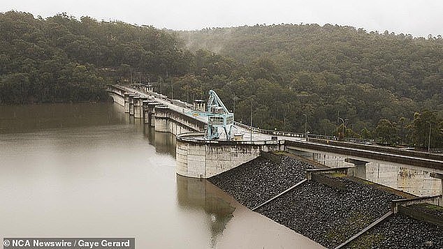 PFAS is a term used for thousands of substances deemed 'forever chemicals' because they never break down in the environment (pictured, Warragamba Dam)