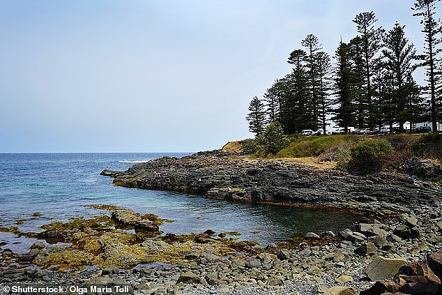 The 47-year-old man and his 17-year-old son were last seen at about 5.30pm on Monday evening after travelling to Storm Bay, south of the Kiama Blowhole on the NSW south coast, at 5pm on Monday