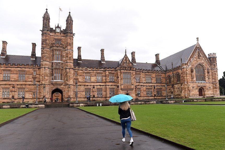 A woman with an umbrella walks in the University of Sydney quadrangle.  