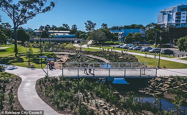 The baby was with his family enjoying a picnic at Hanlon Park in Coorparoo in Brisbane's south when an unknown man approached the group