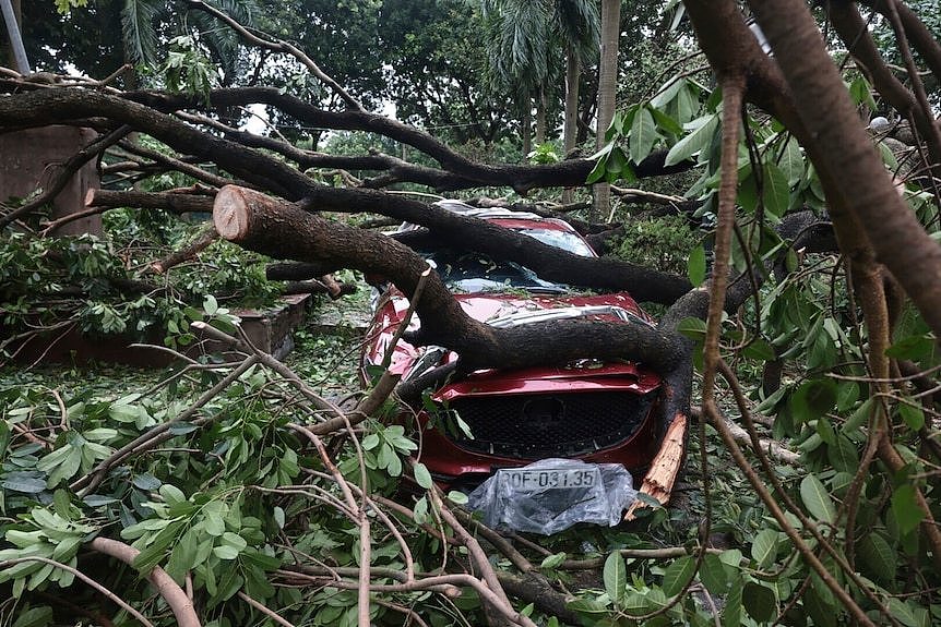 A red four-wheel-drive is crushed by falling tree branches