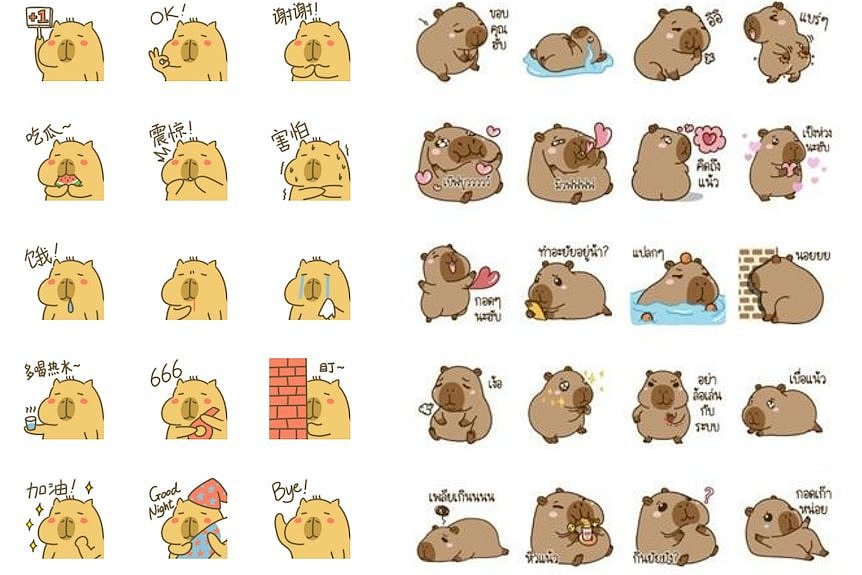 A collage of capybara emojis. 