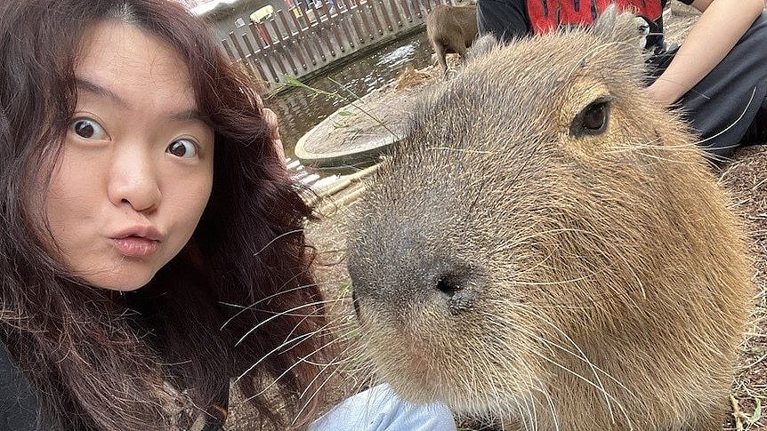 A girl sitting next to a capybara. 