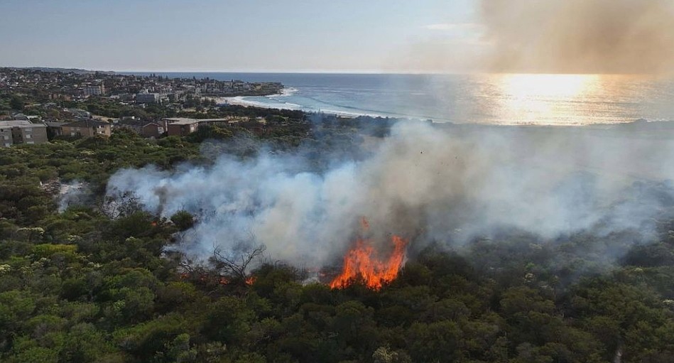 悉尼多地爆发草场大火！浓烟笼罩全城，消防员正奋力灭火（组图） - 2