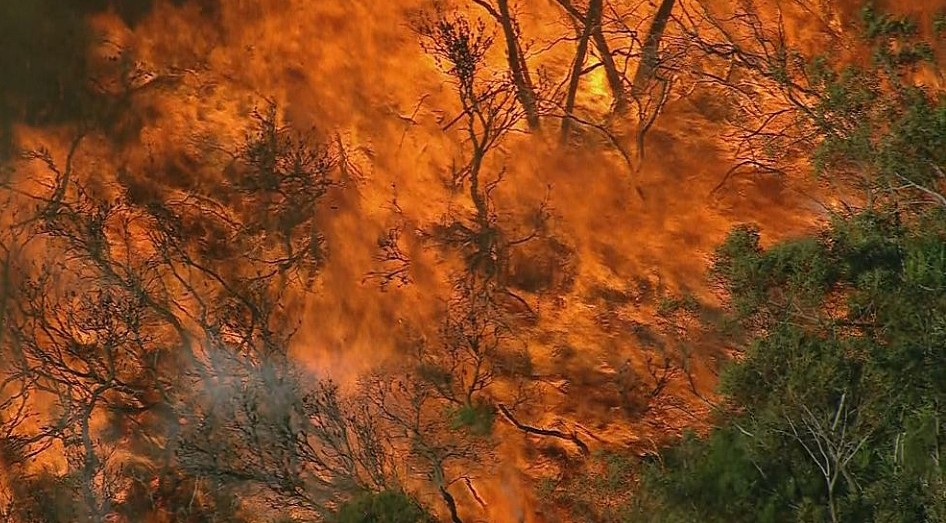 悉尼多地爆发草场大火！浓烟笼罩全城，消防员正奋力灭火（组图） - 3