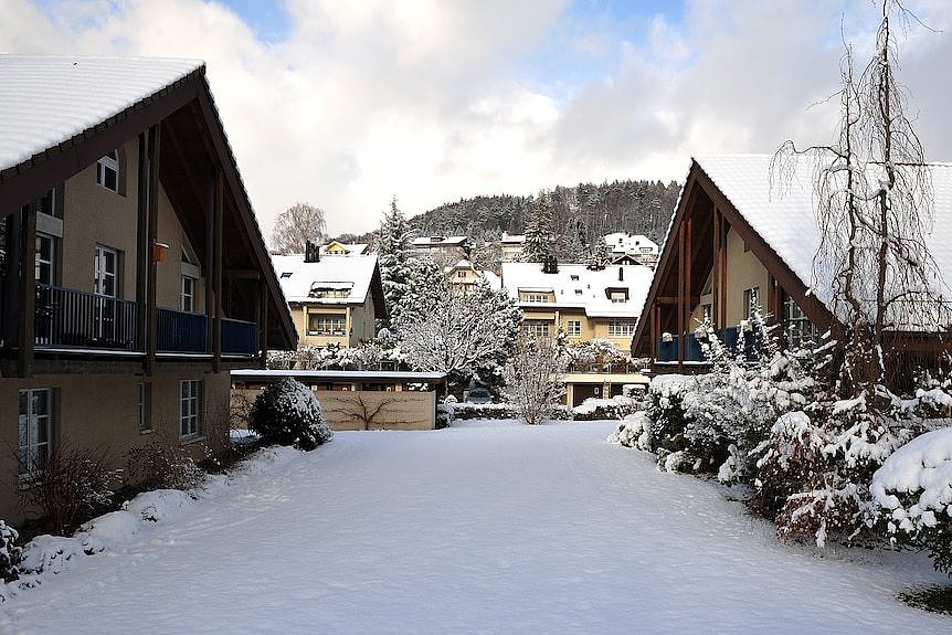 Small buildings and trees covered in snow