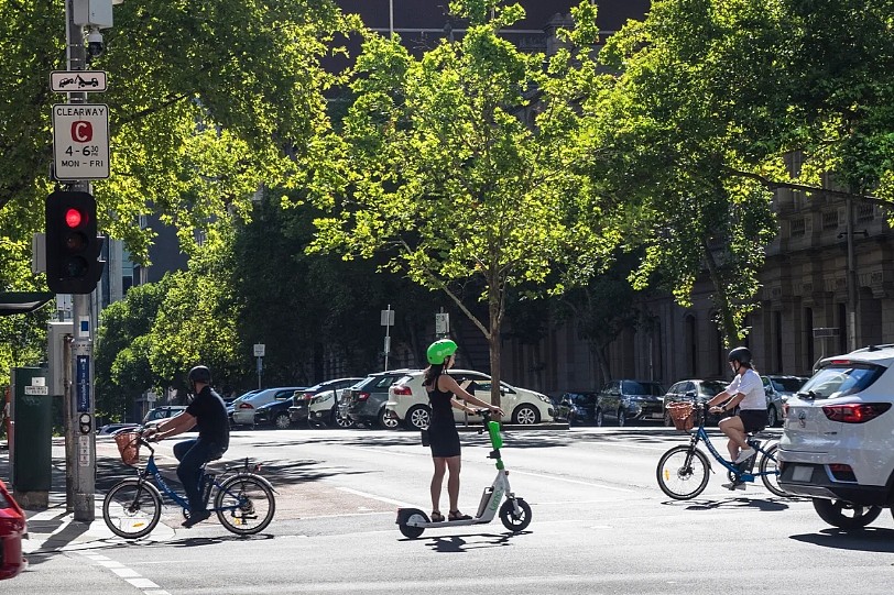 澳人注意！没开车也可能被吊销驾照，这条交规一定要知道（组图） - 3