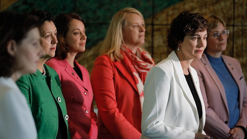 Teal PMs Allegra Spender, Monique Ryan, Sophie Scamps, Kylea Tink, Kate Chaney and Zali Steggall at a press conference 