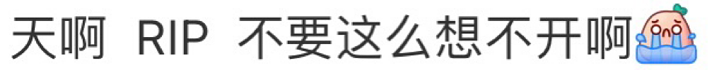 “倒在我窗户下！”澳洲又有人疑似卧轨，华人乘客目睹“血肉模糊”一幕！大批救援人员赶抵，火车营运瘫痪（组图） - 4